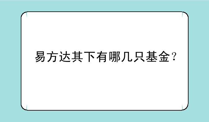 易方达其下有哪几只基金？