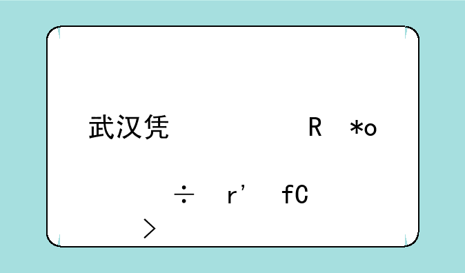 武汉凯迪电力股份有限公司