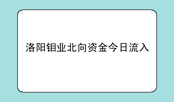 洛阳钼业北向资金今日流入