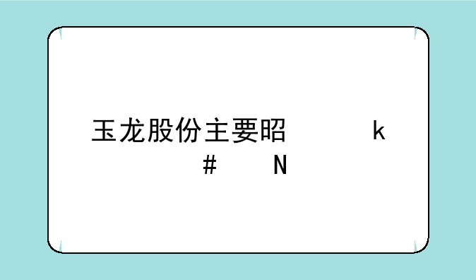 玉龙股份主要是做什么产品