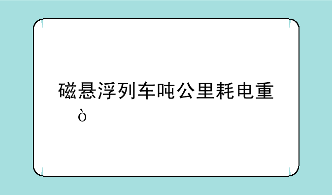 磁悬浮列车吨公里耗电量？