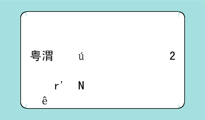 粤港澳大湾区概念股有哪些