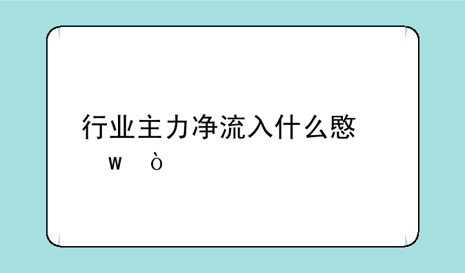 行业主力净流入什么意思？