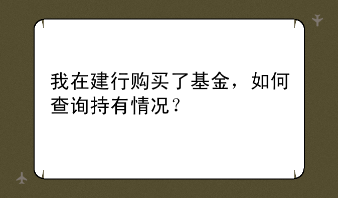 我在建行购买了基金，如何查询持有情况？