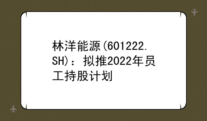 林洋能源(601222.SH)：拟推2022年员工持股计划