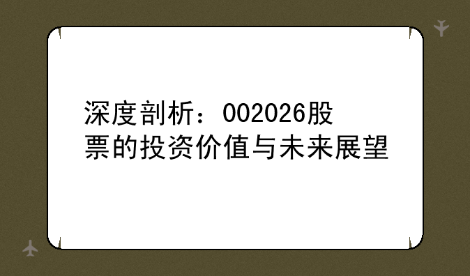 深度剖析：002026股票的投资价值与未来展望