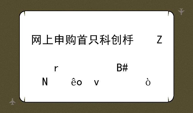 网上申购首只科创板新股需符合哪些条件？