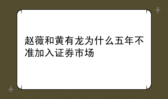 赵薇和黄有龙为什么五年不准加入证券市场