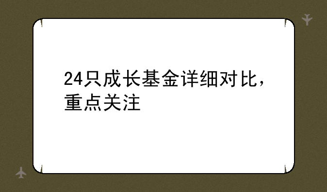 24只成长基金详细对比，重点关注