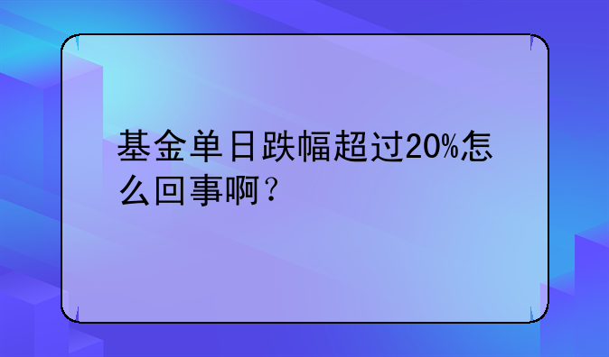 基金单日跌幅超过20%怎么回事啊？