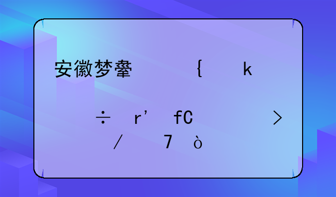 安徽梦舟实业股份有限公司介绍？