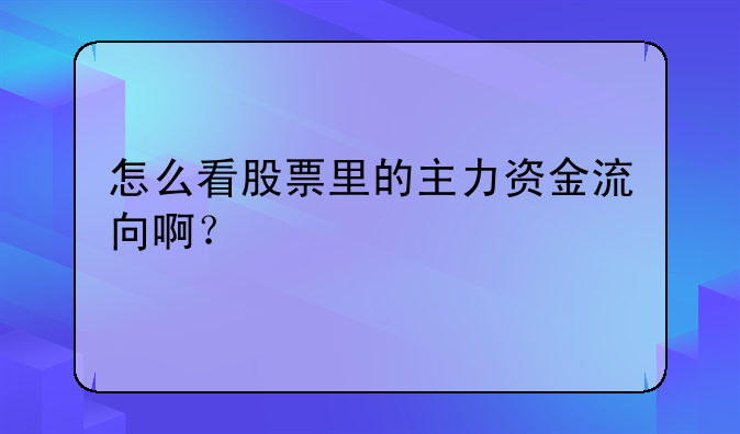 怎么看股票里的主力资金流向啊？