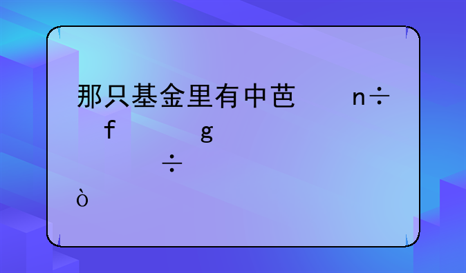 那只基金里有中芯国际这个股份？