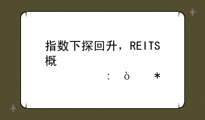 指数下探回升，REITS概念股表现强劲