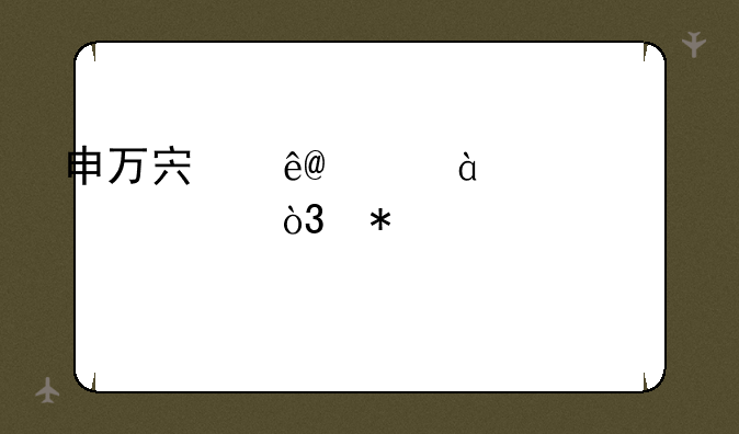 申万宏源(06806)上涨5.11%，报1.44元/股