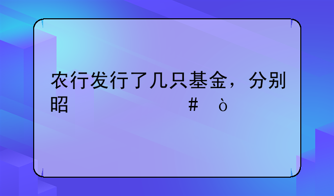 农行发行了几只基金，分别是什么？