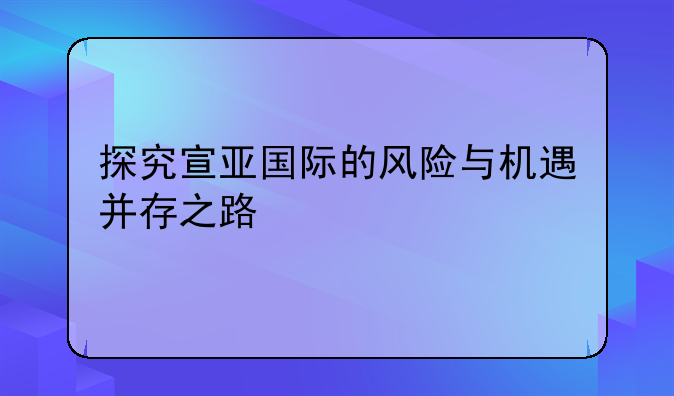 探究宣亚国际的风险与机遇并存之路