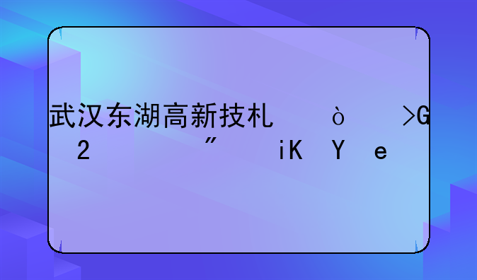 武汉东湖高新技术开发区买房政策？