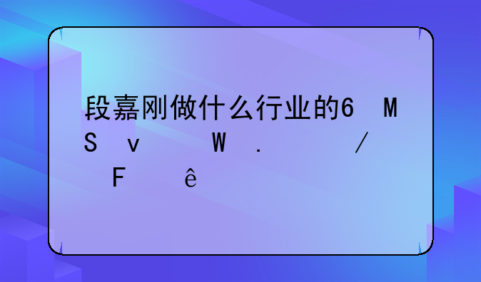 段嘉刚做什么行业的?ST坊展独立董事