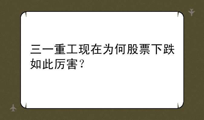 三一重工现在为何股票下跌如此厉害？