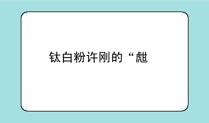 钛白粉许刚的“生前名”与“身后事”