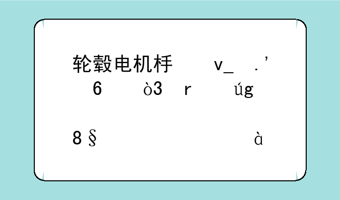 轮毂电机板块拉升，圣龙股份(603178.CN)涨10.02%