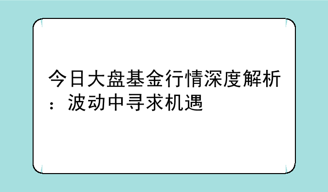 今日大盘基金行情深度解析：波动中寻求机遇