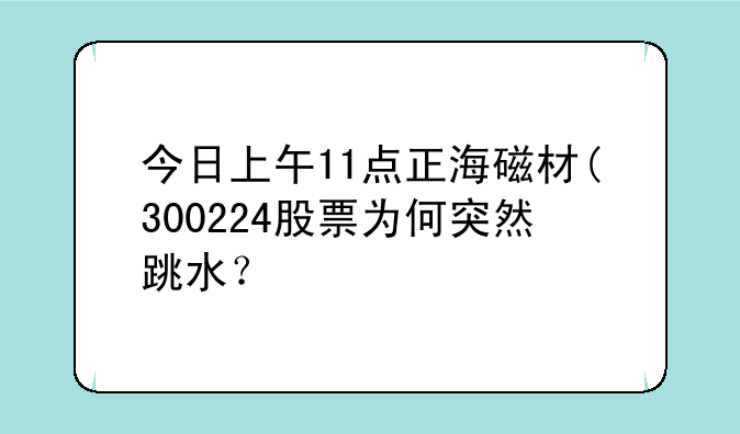 今日上午11点正海磁材(300224股票为何突然跳水？