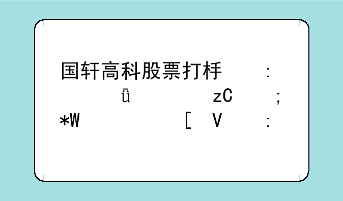 国轩高科股票打板现象深度解析与投资策略探讨