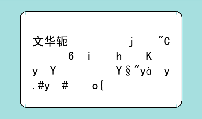 文华软件中的成交量柱怎么看呀？有点不明白？