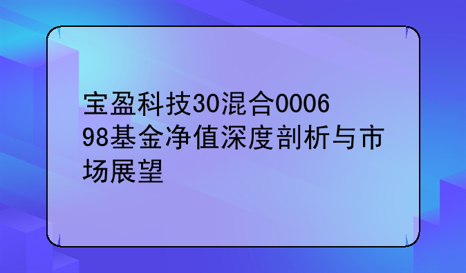 宝盈科技30混合000698基金净值深度剖析与市场展望