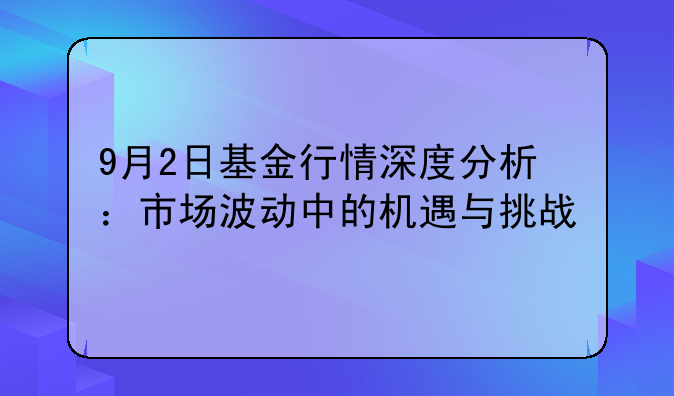 9月2日基金行情深度分析：市场波动中的机遇与挑战