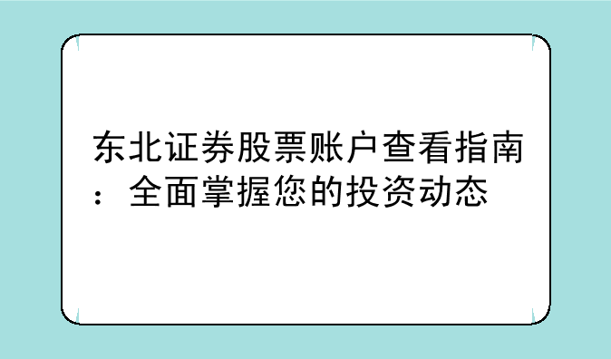 东北证券股票账户查看指南：全面掌握您的投资动态