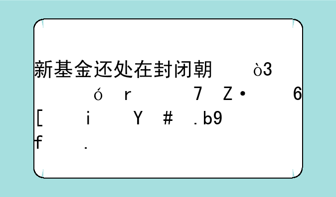 新基金还处在封闭期，净值在不断减少是怎么回事？