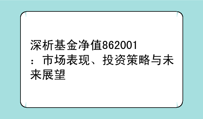 深析基金净值862001：市场表现、投资策略与未来展望