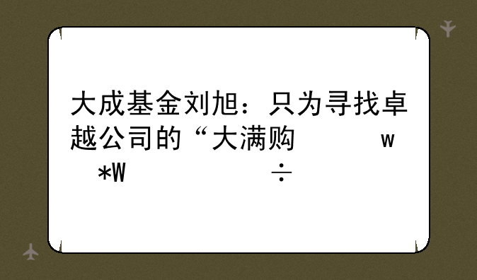 大成基金刘旭：只为寻找卓越公司的“大满贯”投资能手