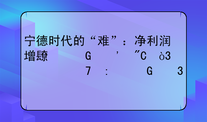 宁德时代的“难”：净利润增长近三成，股价仍接近跌停