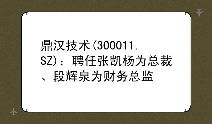 鼎汉技术(300011.SZ)：聘任张凯杨为总裁、段辉泉为财务总监