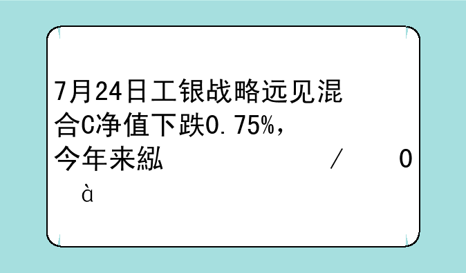 7月24日工银战略远见混合C净值下跌0.75%，今年来累计下跌5.98%