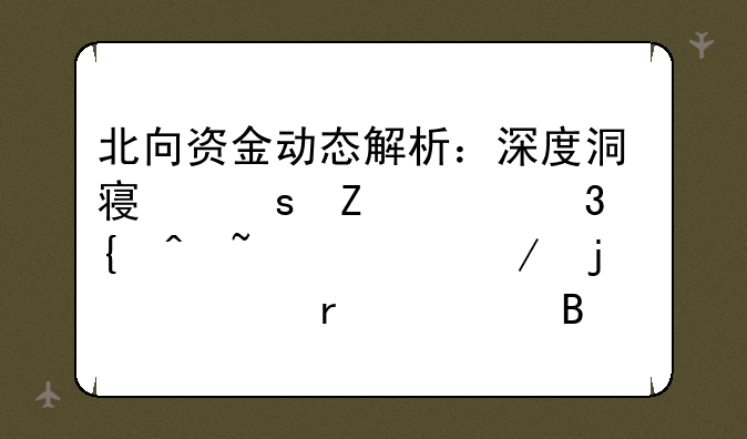 北向资金动态解析：深度洞察东方财富实时查询下的资本流向