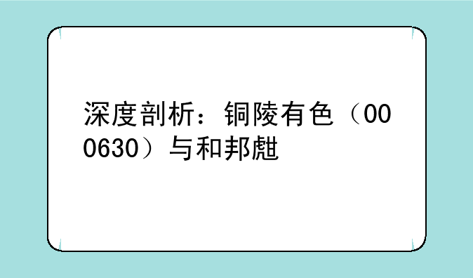 深度剖析：铜陵有色（000630）与和邦生物（603077）的投资价值