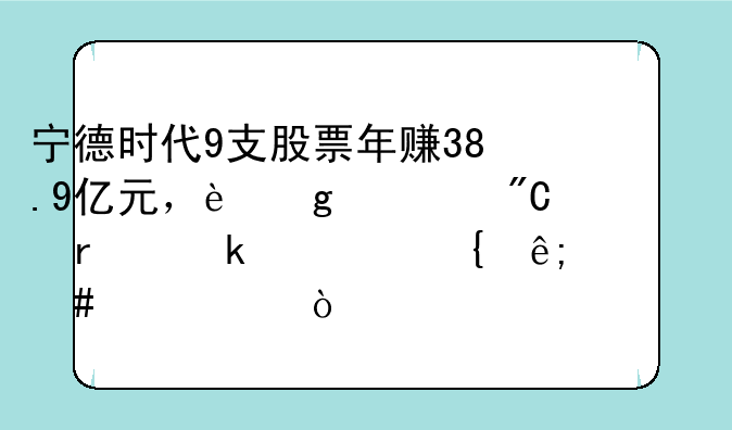 宁德时代9支股票年赚38.9亿元，这一成绩在业内属于什么水平？