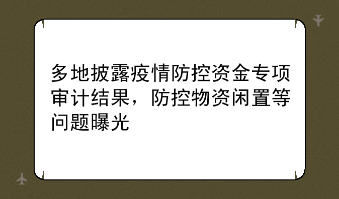 多地披露疫情防控资金专项审计结果，防控物资闲置等问题曝光