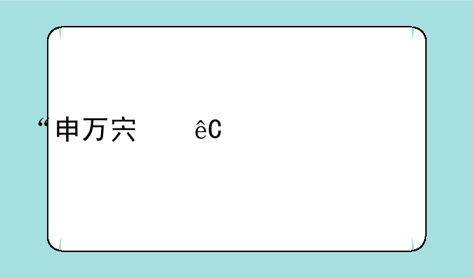 “申万宏源逆市上扬2.01%，新疆金融巨头展现市值韧性，前三季度营收突破162亿”