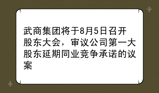 武商集团将于8月5日召开股东大会，审议公司第一大股东延期同业竞争承诺的议案