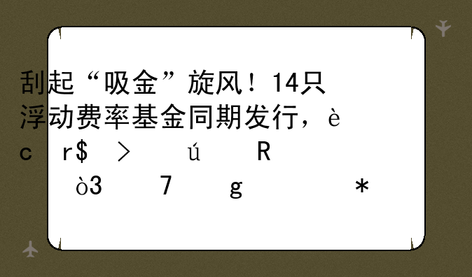 刮起“吸金”旋风！14只浮动费率基金同期发行，还有3只待售，再给主动管理一次机会？