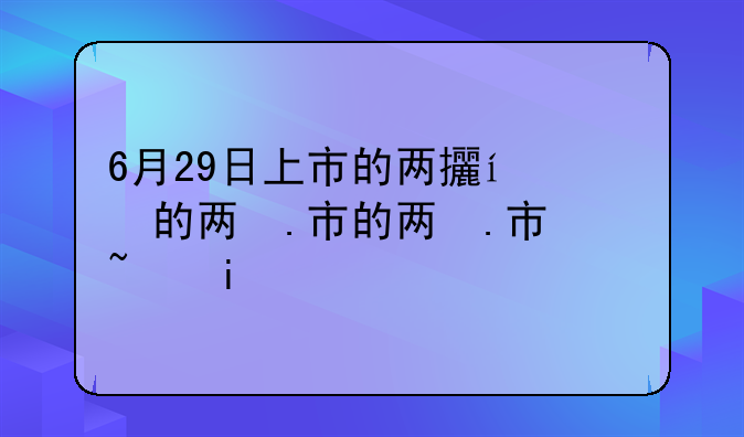 6月29日上市的两支股票是那两支