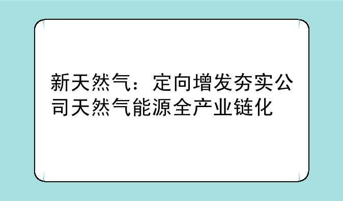 新天然气：定向增发夯实公司天然气能源全产业链化