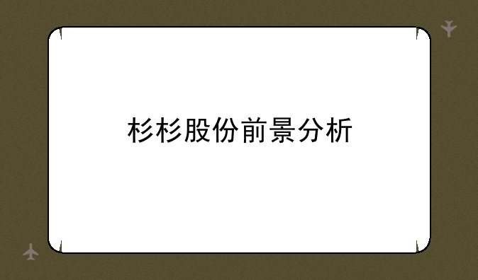 杉杉股份前景分析