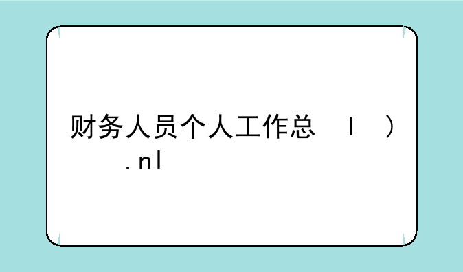 财务人员个人工作总结5篇